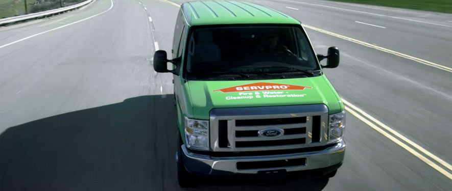 Houston , TX mold remediation