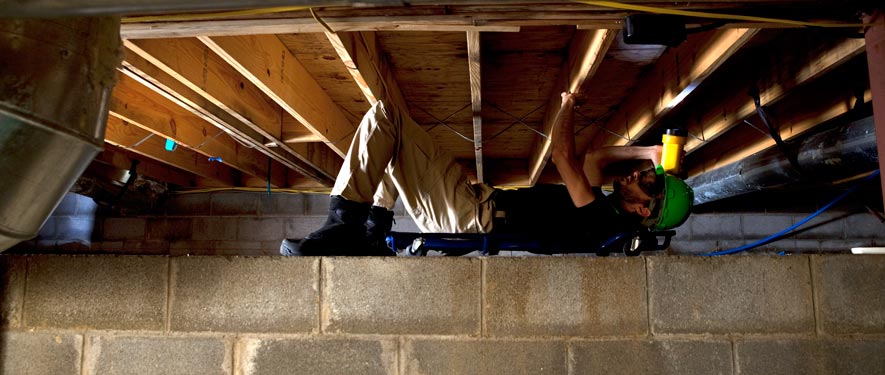 Houston , TX mold removal